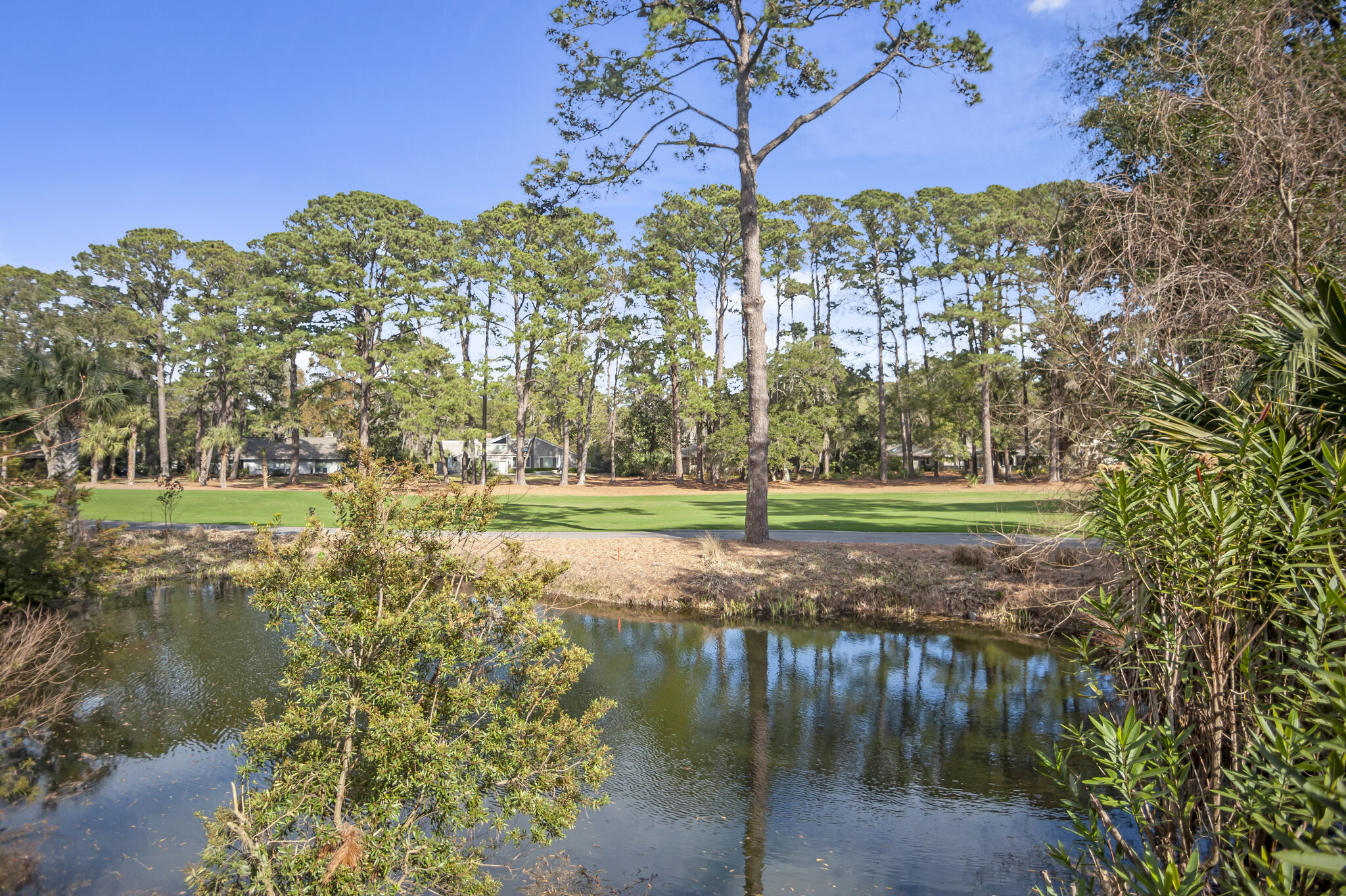 106-Baynard-CoveGolf-Course-view-13639-big.jpeg