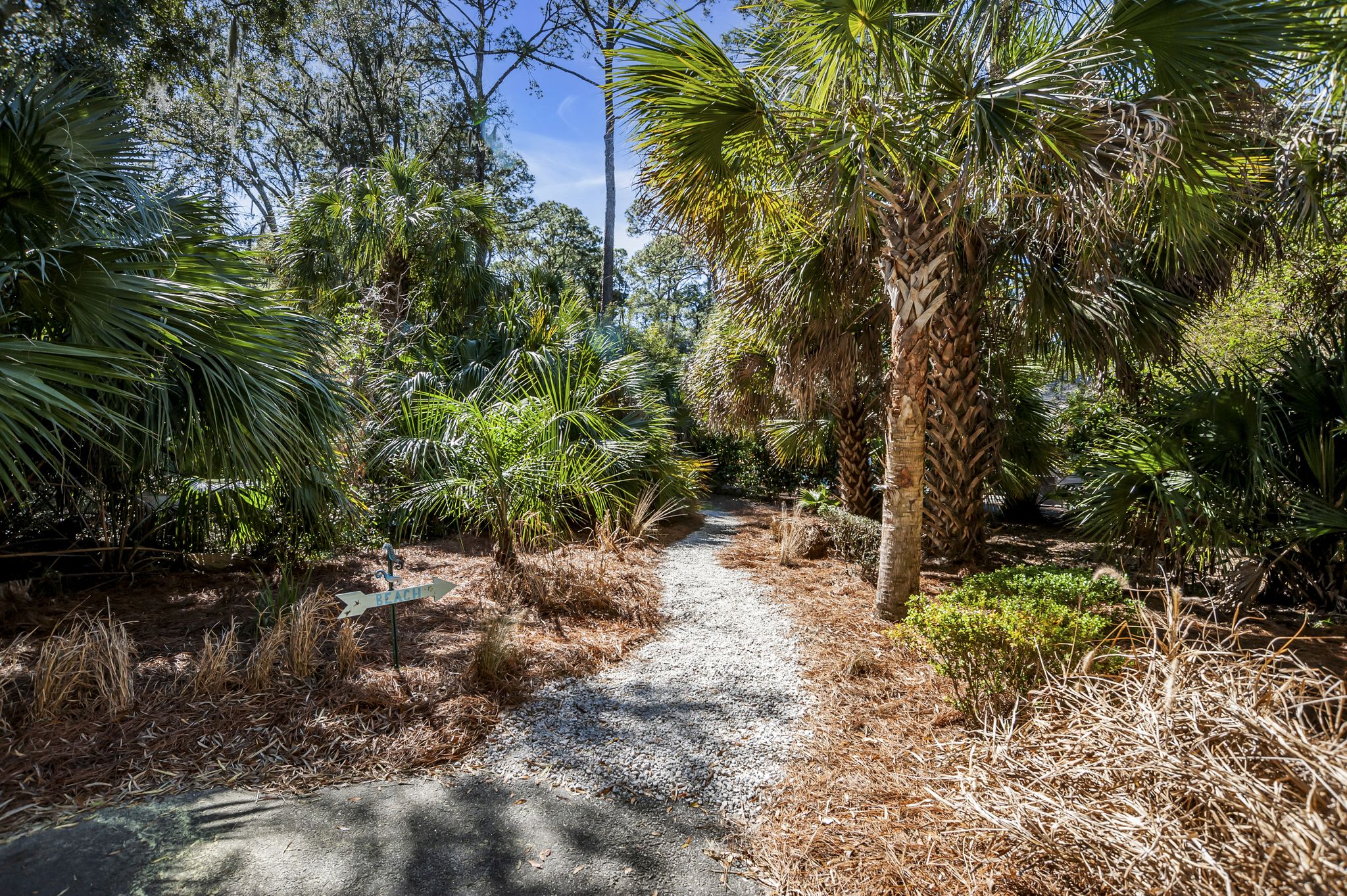 19-Bald-Eagle-WestBeach-Path-18020-big.jpeg