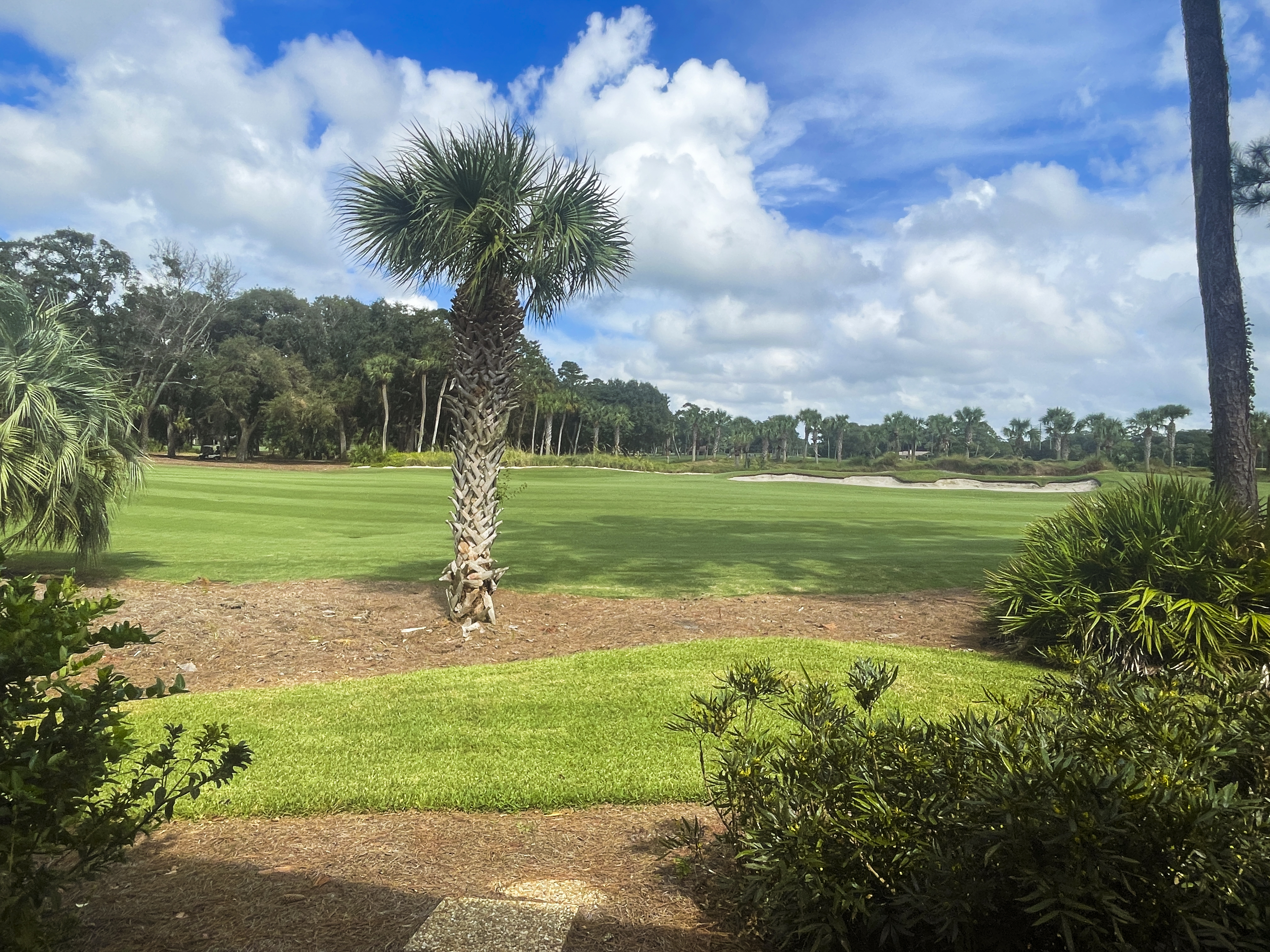 450-Plantation-Club-VillasView-of-Golf-Course-8216-big.jpeg