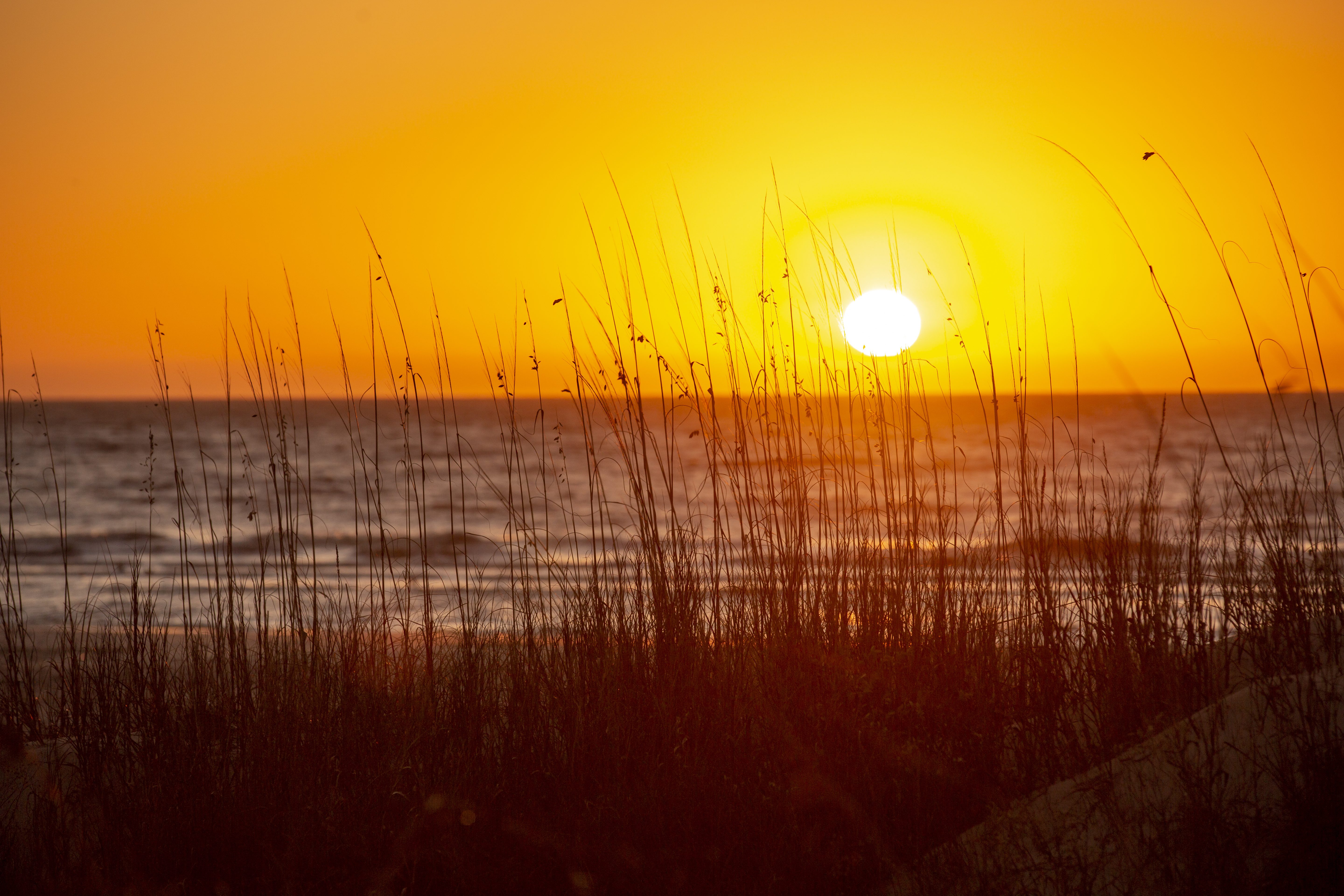 Sunset-at-The-Sea-Pines-Resort-Beach-ClubSunset-at-The-Sea-Pines-Resort-Beach-Club-12568-big.jpeg