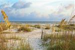 18-Bald-Eagle-Road-(OceanDunes-Residence)Path-to-Beach-14593-small.jpeg