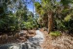 19-Bald-Eagle-WestBeach-Path-18020-small.jpeg