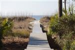 19-Painted-BuntingPrivate-Beach-Path-1180-small.jpeg