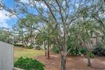 4-Mizzenmast-Court-17768-small.jpeg