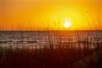 Sunset-at-The-Sea-Pines-Resort-Beach-ClubSunset-at-The-Sea-Pines-Resort-Beach-Club-12568-small.jpeg